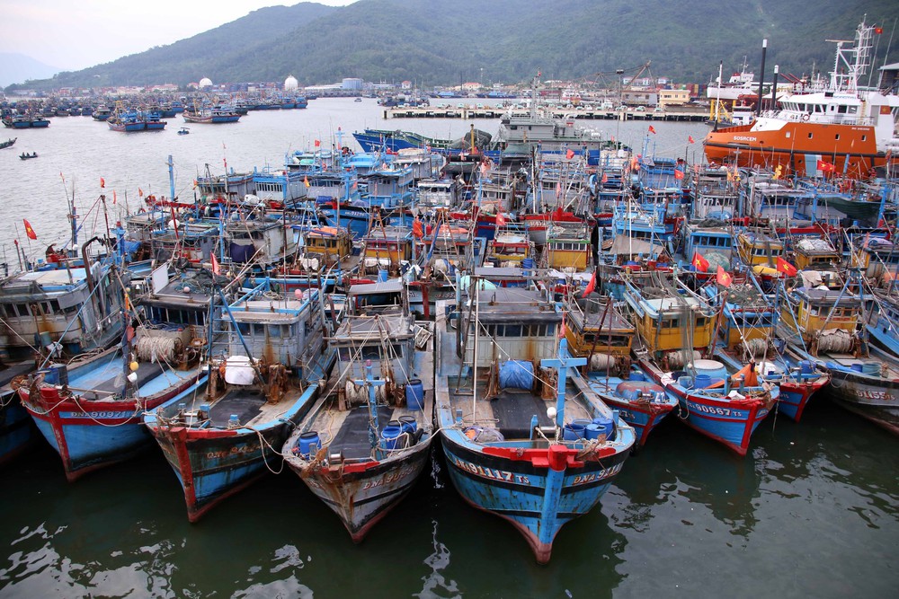 Đà Nẵng khẩn trương ứng phó trước diễn biến phức tạp của bão số 10 - Ảnh 2.