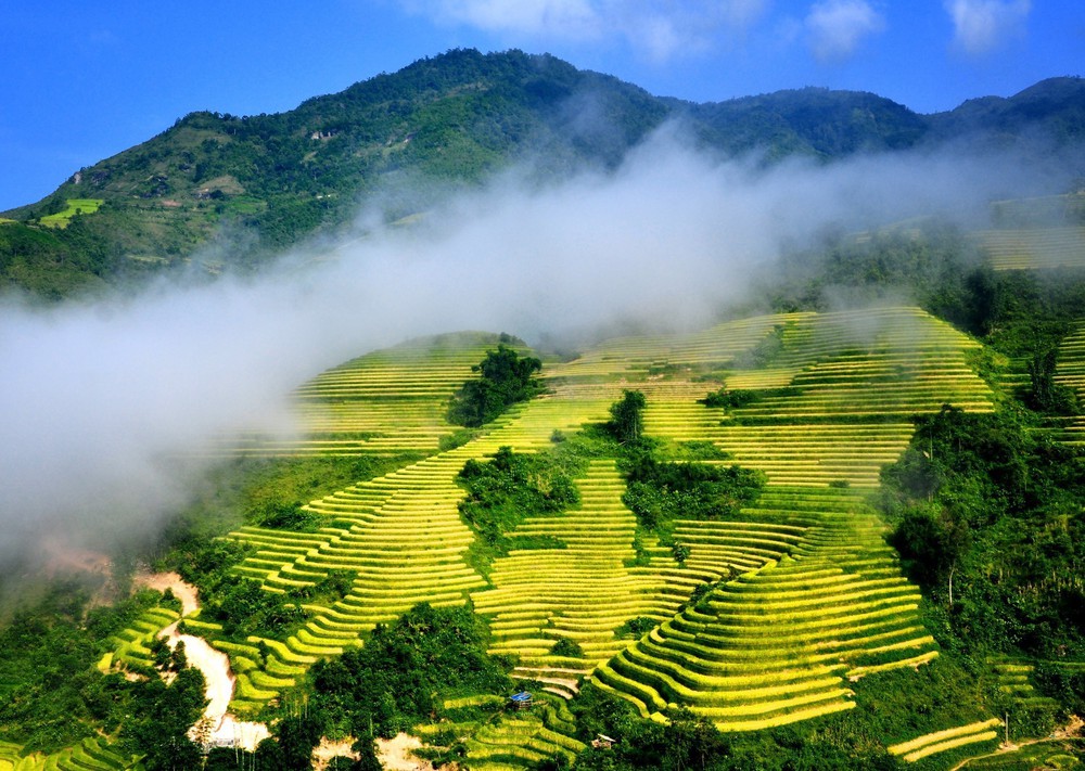 TIÊU ĐIỂM TRONG NGÀY: Hành trình Xanh - Ảnh 2.