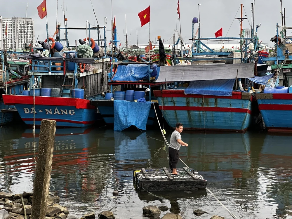 Tàu thuyền ngư dân miền Trung về neo đậu tránh bão số 10 tại Âu thuyền Thọ Quang (Đà Nẵng) - Ảnh 4.