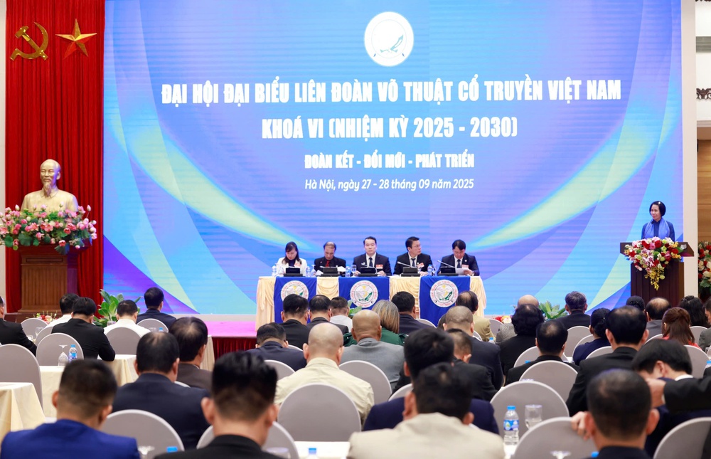 Nâng tầm ảnh hưởng và lan tỏa giá trị võ thuật cổ truyền Việt Nam - Ảnh 2.