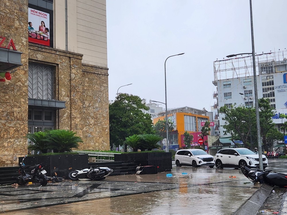 Huế: Nhiều cây xanh, phương tiện đổ ngã do ảnh hưởng cơn bão số 10 - Ảnh 2.