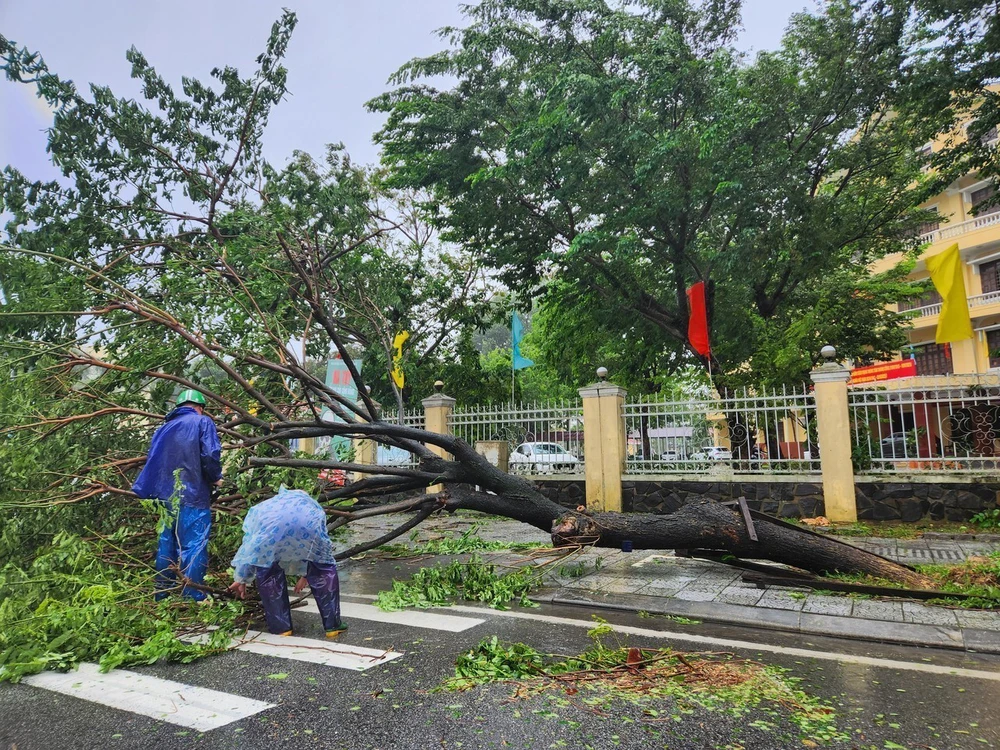Huế: Nhiều cây xanh, phương tiện đổ ngã do ảnh hưởng cơn bão số 10 - Ảnh 6.