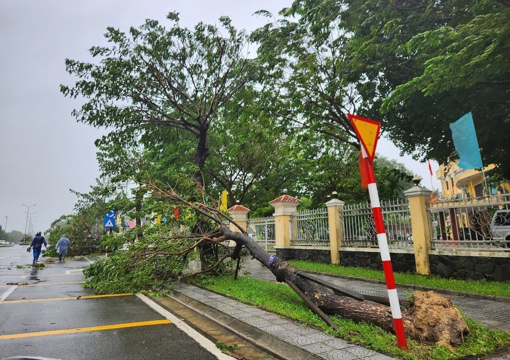 Huế: Nhiều cây xanh, phương tiện đổ ngã do ảnh hưởng cơn bão số 10 - Ảnh 4.