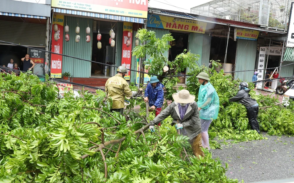 Bão số 10: Ninh Bình thiệt hại nặng nề về người do xoáy lốc gây ra - Ảnh 2.