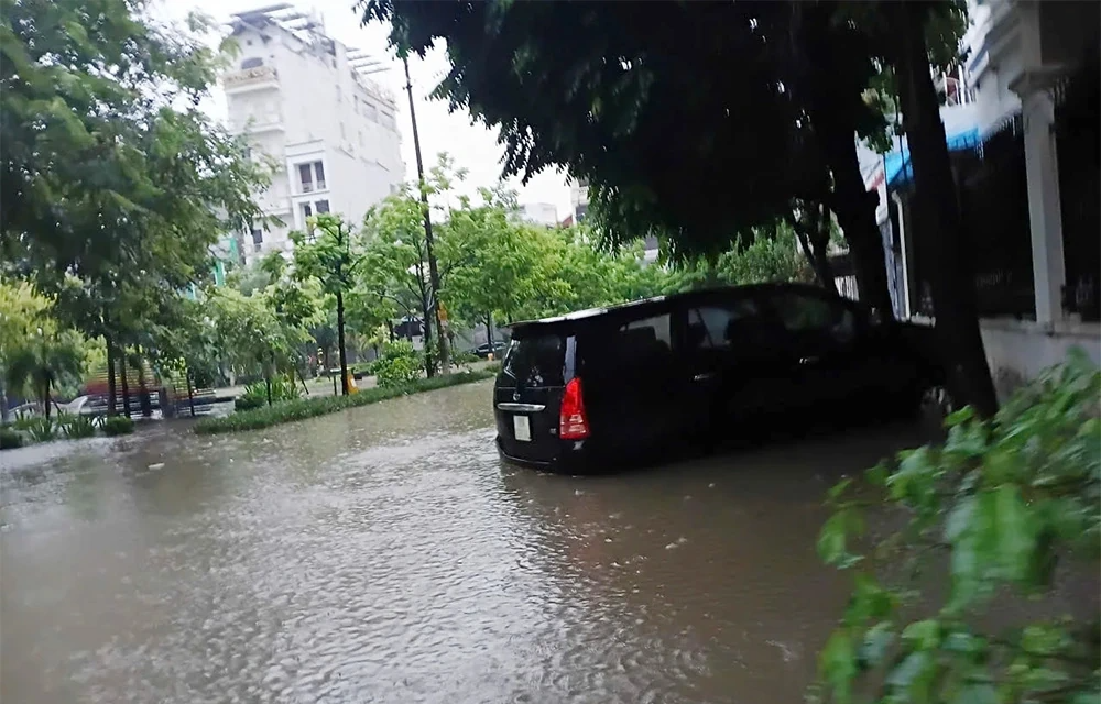 phú thọ .webp