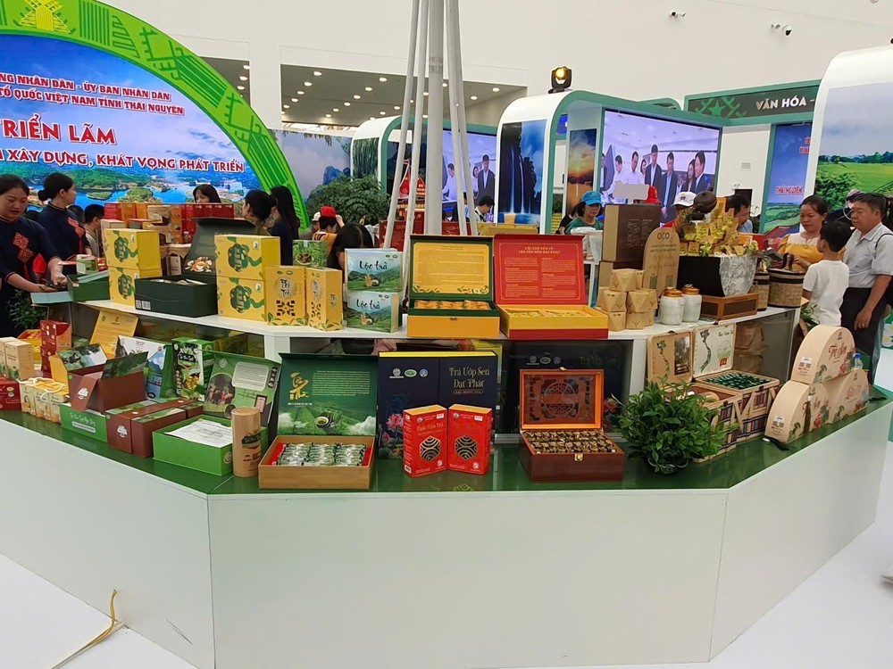 Triển lãm thành tựu đất nước: Du lịch các tỉnh, thành phố qua 34 gian trưng bày đặc sắc, độc đáo - Ảnh 5.