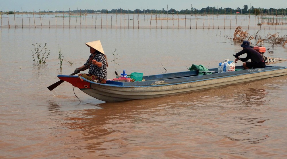 Rộn ràng mùa cá linh non nơi đầu nguồn châu thổ Cửu Long - Ảnh 4.