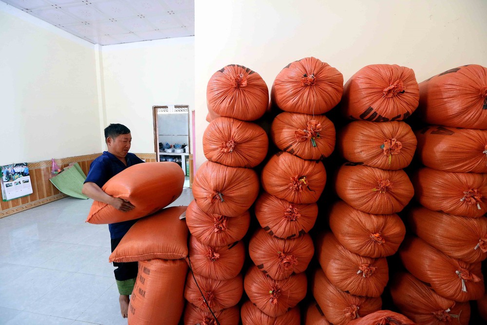 Thủ tướng chỉ đạo tổ chức Tết vui tươi, lành mạnh, an toàn, tiết kiệm - Ảnh 4.