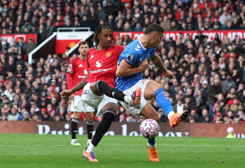 Nhận định, soi tỷ lệ Manchester United vs Brighton 23h30 ngày 11/01, FA Cup - Ảnh 1.