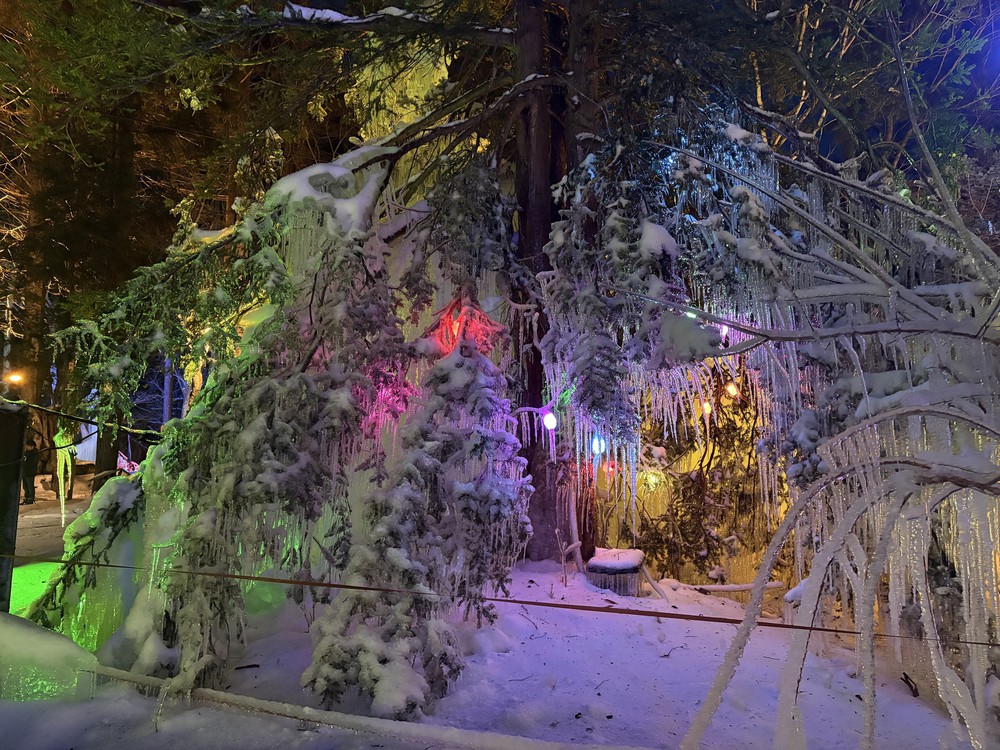 Subzero Forest - Khu rừng băng giá kỳ ảo vùng Hida, Nhật Bản - Ảnh 9.