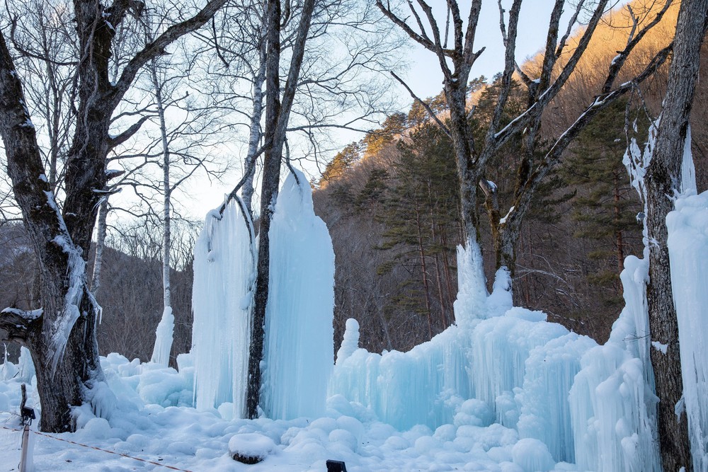 Subzero Forest - Khu rừng băng giá kỳ ảo vùng Hida, Nhật Bản - Ảnh 3.