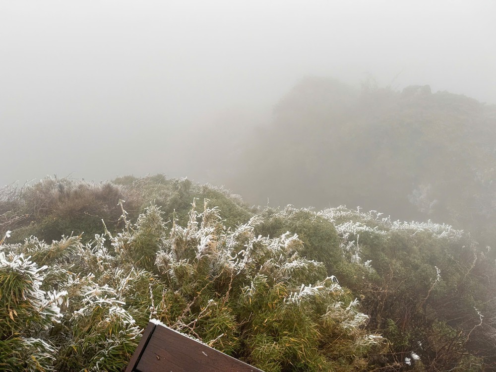 Dự báo thời tiết ngày 12/1: Bắc Bộ rét sâu, vùng núi đề phòng băng giá - Ảnh 1.