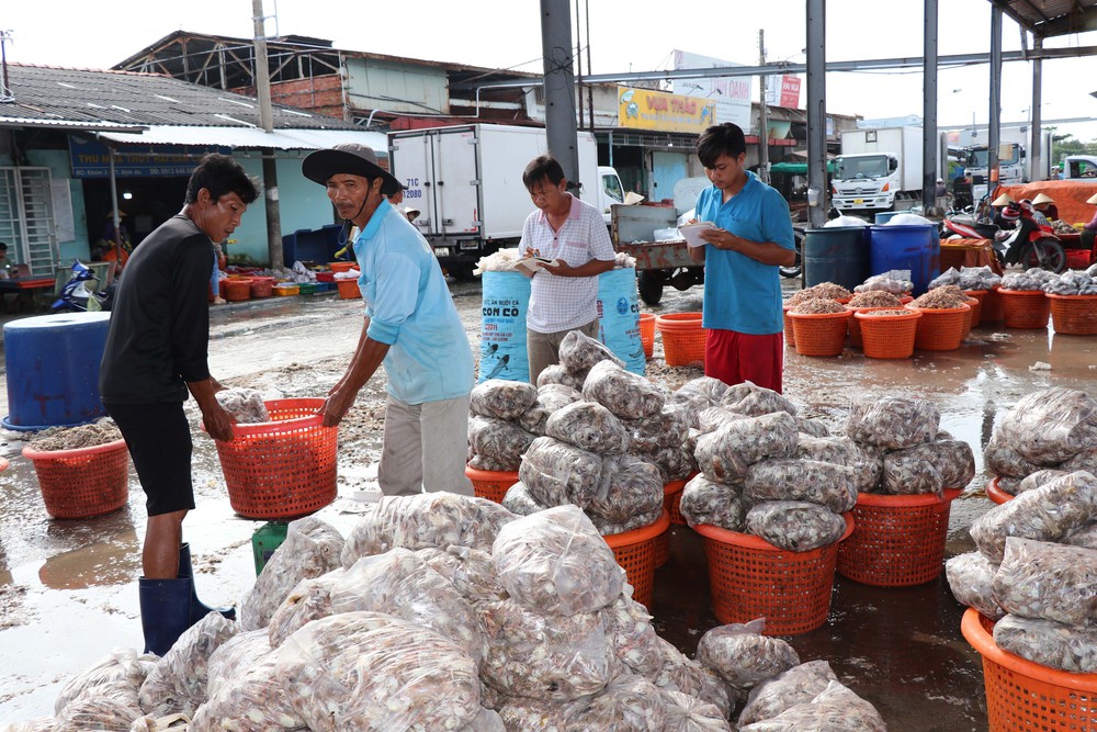 Thủ tướng chỉ đạo lập đoàn kiểm tra chống khai thác hải sản bất hợp pháp, không theo quy định (IUU) - Ảnh 4.