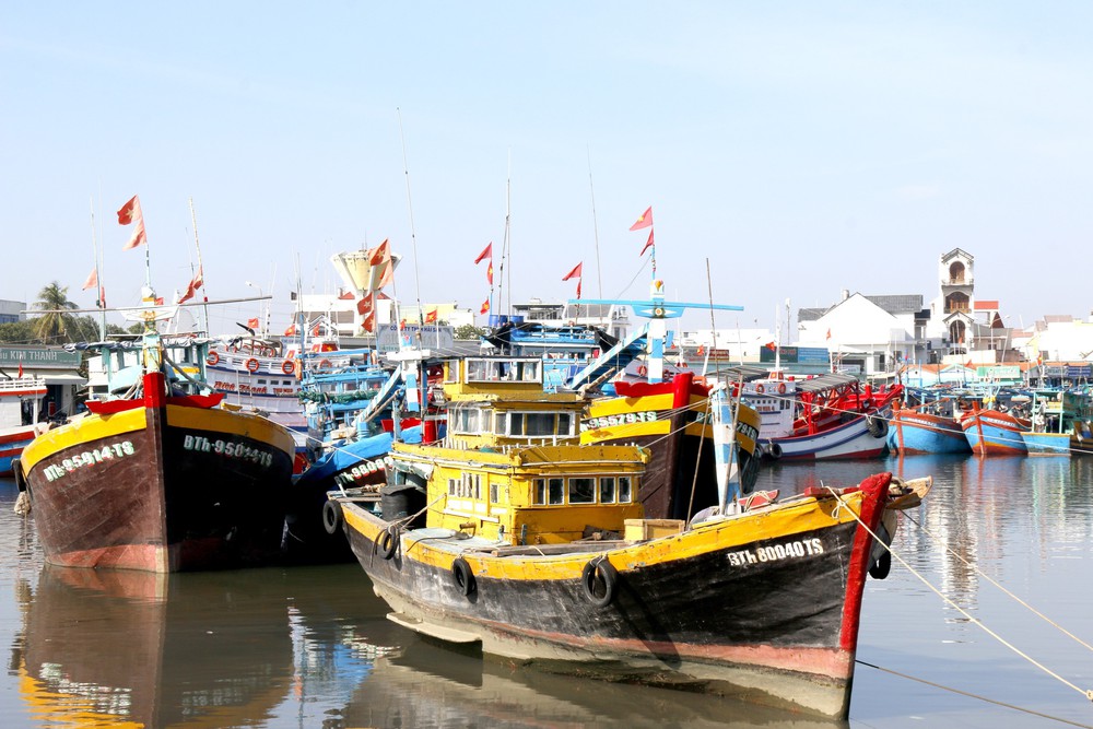 Thủ tướng chỉ đạo lập đoàn kiểm tra chống khai thác hải sản bất hợp pháp, không theo quy định (IUU) - Ảnh 2.