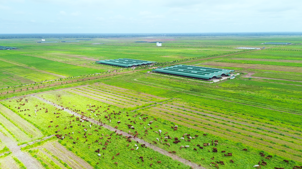 Thaco Agri và chiến lược tự chủ nguồn lực trên đất Đông Dương - Ảnh 2. Thaco Agri và chiến lược tự chủ nguồn lực trên đất Đông Dương - Ảnh 2.