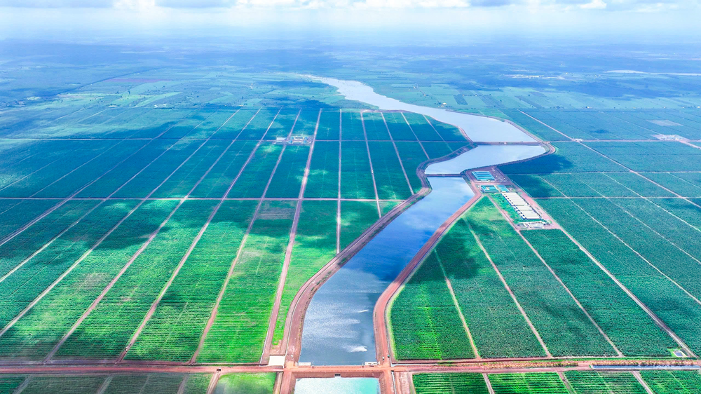 Thaco Agri và chiến lược tự chủ nguồn lực trên đất Đông Dương - Ảnh 3. Thaco Agri và chiến lược tự chủ nguồn lực trên đất Đông Dương - Ảnh 3.