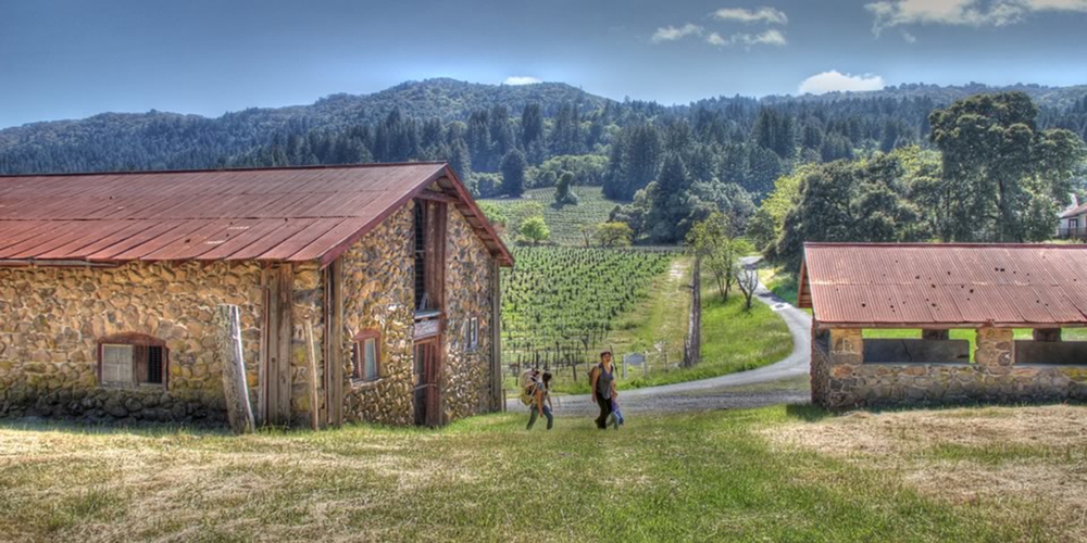 150 năm ngày sinh Jack London: Nhà văn phiêu lưu vĩ đại và cuộc đời đầy mâu thuẫn - Ảnh 5.