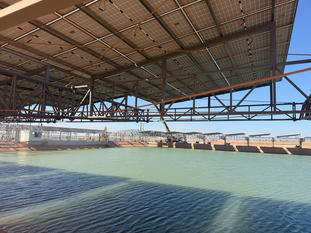 Thaco Agri và chiến lược tự chủ nguồn lực trên đất Đông Dương - Ảnh 1. Thaco Agri và chiến lược tự chủ nguồn lực trên đất Đông Dương - Ảnh 1.