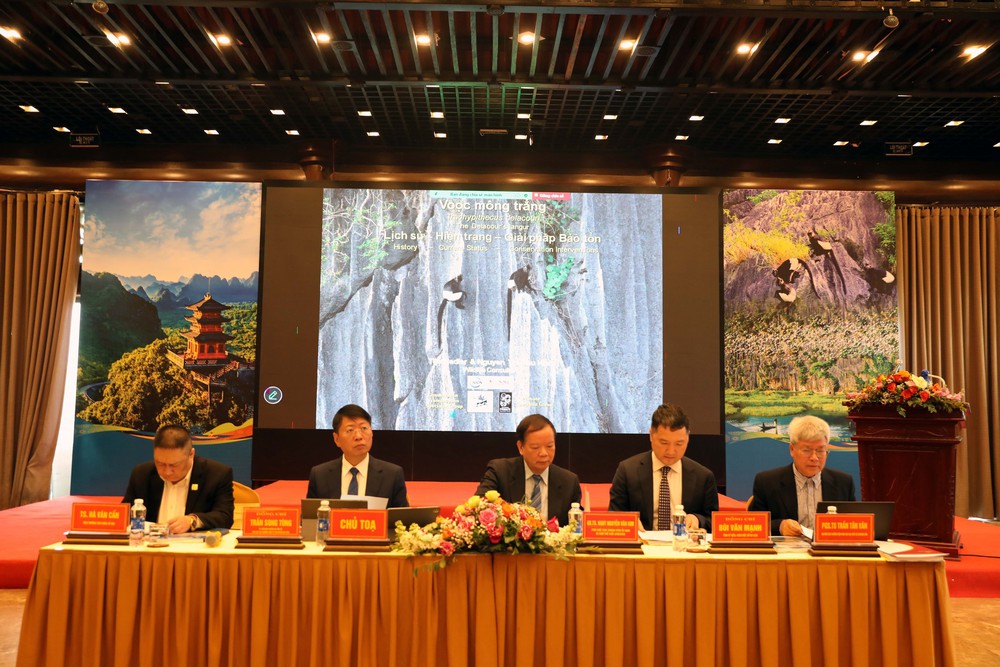 Xác lập giá trị nổi bật toàn cầu và lộ trình đề cử Di sản Thế giới Quần thể Tam Chúc và Khu bảo tồn thiên nhiên đất ngập nước Vân Long - Ảnh 1. Xác lập giá trị nổi bật toàn cầu và lộ trình đề cử Di sản Thế giới Quần thể Tam Chúc và Khu bảo tồn thiên nhiên đất ngập nước Vân Long - Ảnh 1.