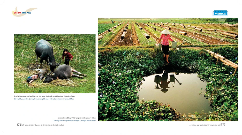Giới thiệu sách ảnh "Việt Nam hạnh phúc" chào mừng Đại hội XIV của Đảng - Ảnh 5.