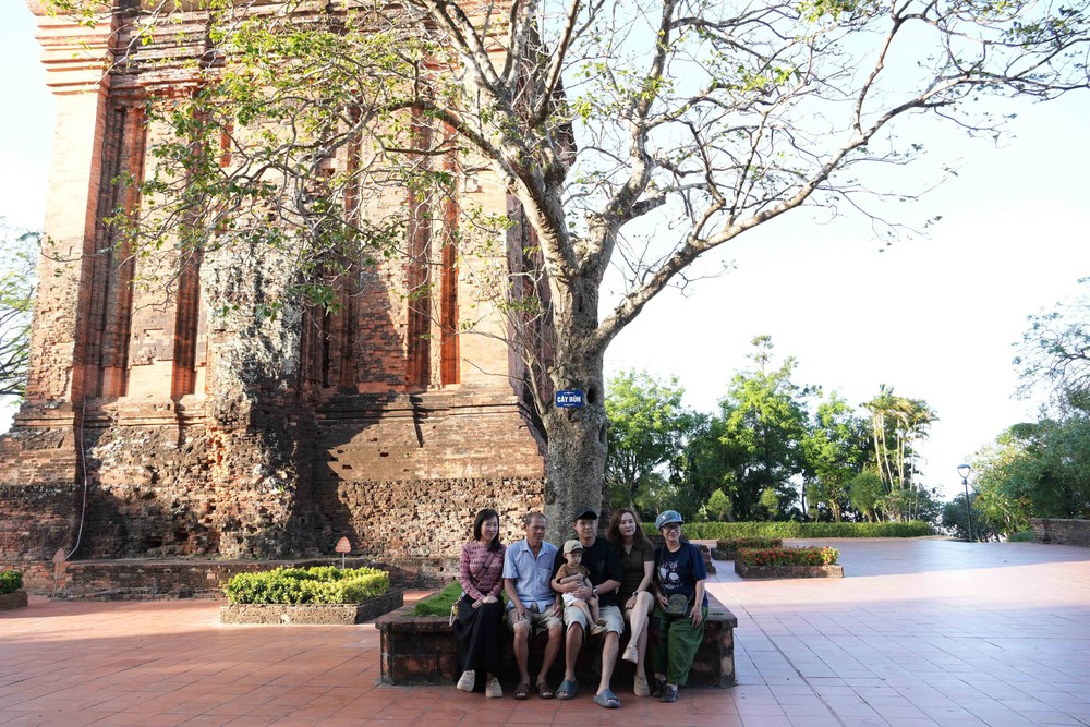 Đặc sắc kiến trúc Tháp Nhạn tại Đắk Lắk - Ảnh 4.