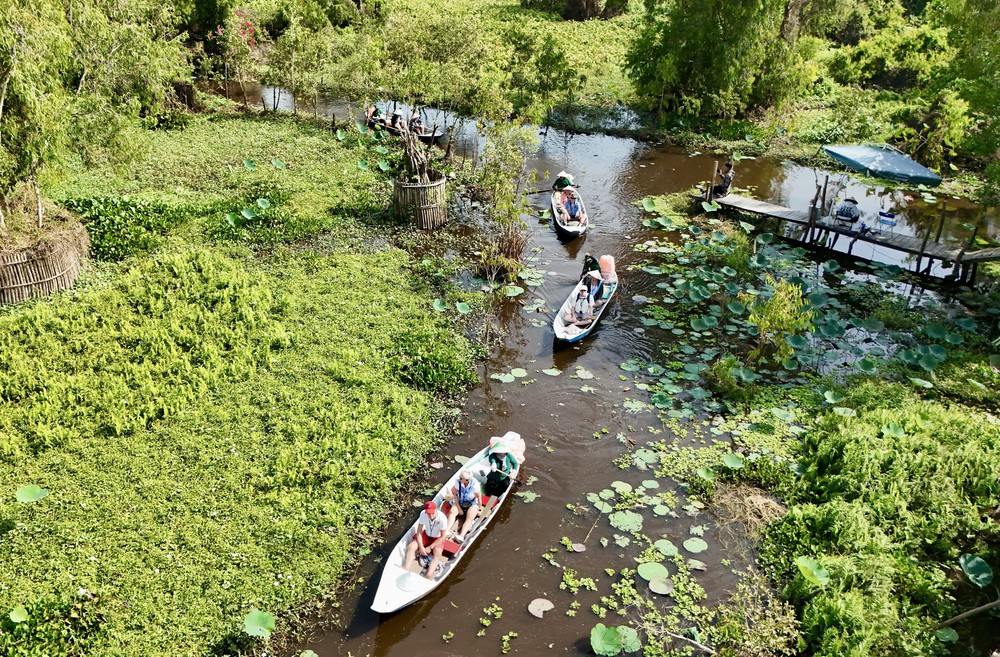 Khám phá rừng tràm đẹp và nổi tiếng nhất Việt Nam - Ảnh 4.