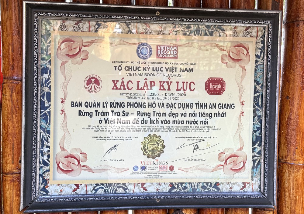 Khám phá rừng tràm đẹp và nổi tiếng nhất Việt Nam - Ảnh 1.