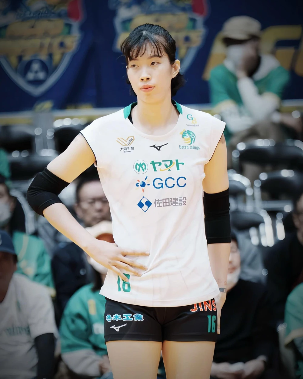 Trần Thị Thanh Thúy lọt Top 15 ngôi sao ghi điểm ở Nhật nhưng đội nhà liên tiếp thua đối thủ dưới cơ - Ảnh 1.