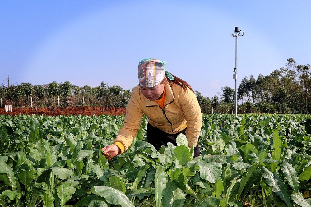 Đột phá theo Nghị quyết 57: Động lực tăng trưởng mới của địa phương - Ảnh 2.