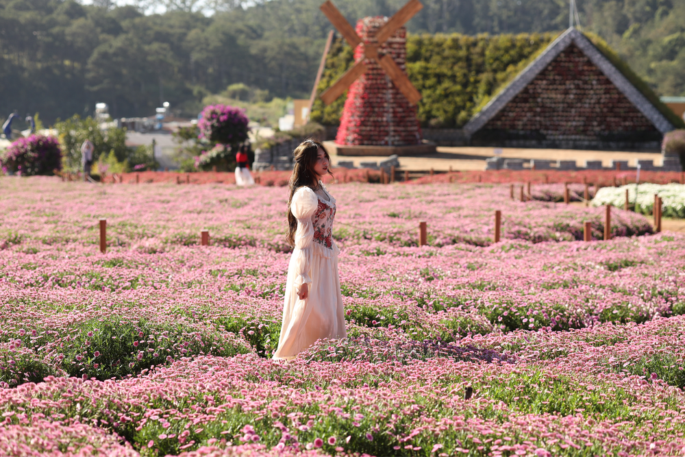 Top 4 khách sạn Đà Lạt giá rẻ trên Traveloka, tiện nghi, giá "dễ thở" - Ảnh 1.