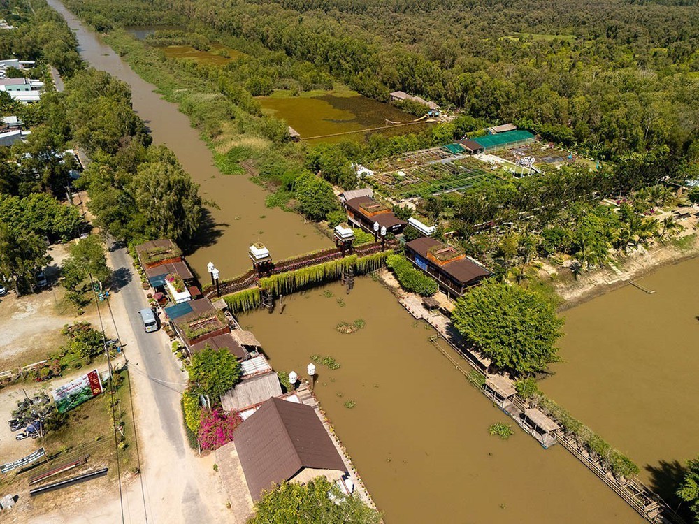 An Giang: Khu du lịch sinh thái Rừng tràm Trà Sư hướng đến phát triển du lịch sinh thái bền vững - Ảnh 5.