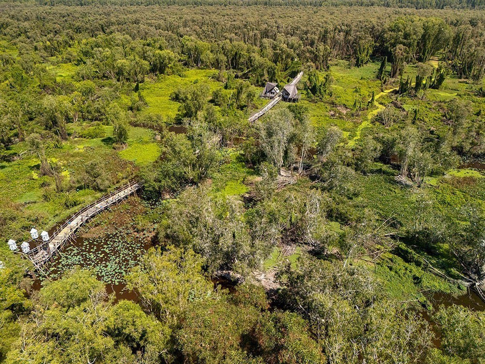 An Giang: Khu du lịch sinh thái Rừng tràm Trà Sư hướng đến phát triển du lịch sinh thái bền vững - Ảnh 11.