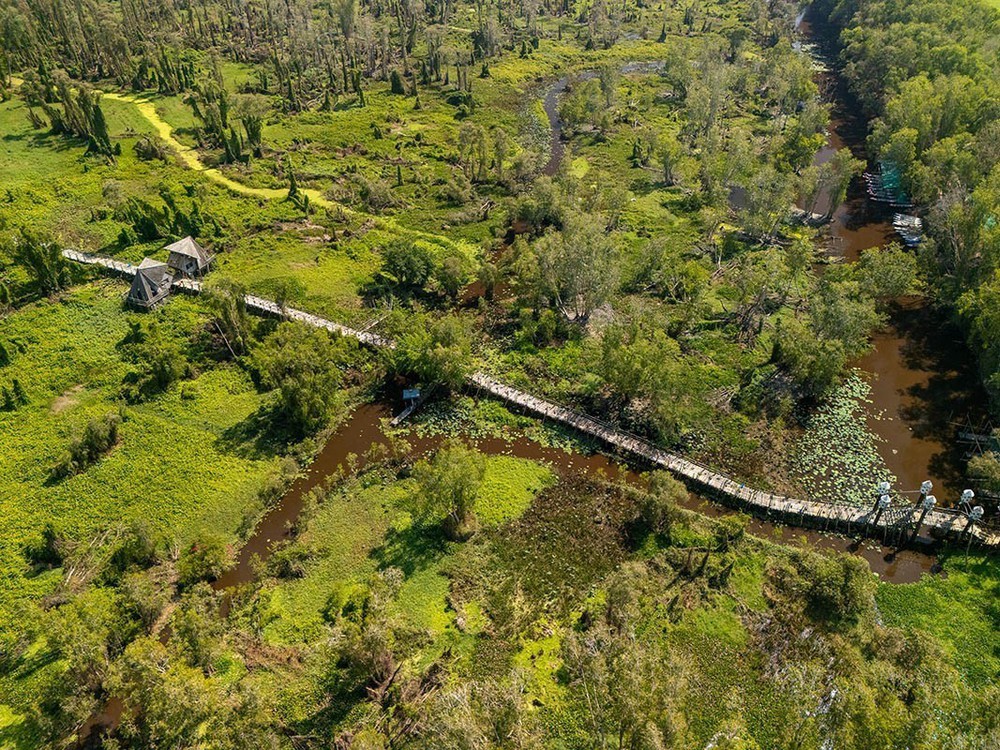 An Giang: Khu du lịch sinh thái Rừng tràm Trà Sư hướng đến phát triển du lịch sinh thái bền vững - Ảnh 12.