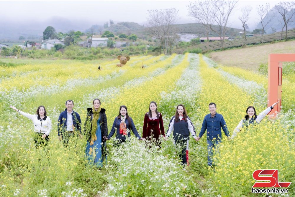 Khu du lịch Quốc gia Mộc Châu hút khách trong dịp đầu năm - Ảnh 1. Khu du lịch Quốc gia Mộc Châu hút khách trong dịp đầu năm - Ảnh 1.