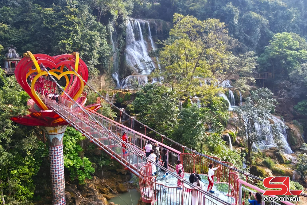 Mộc Châu sôi động du lịch những ngày đầu năm 2026 - Ảnh 3. Mộc Châu sôi động du lịch những ngày đầu năm 2026 - Ảnh 3.