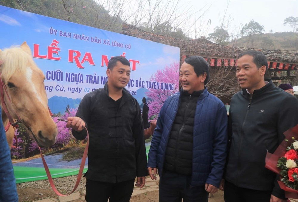 Cưỡi ngựa trải nghiệm Cực Bắc - Sản phẩm du lịch độc đáo - Ảnh 2.