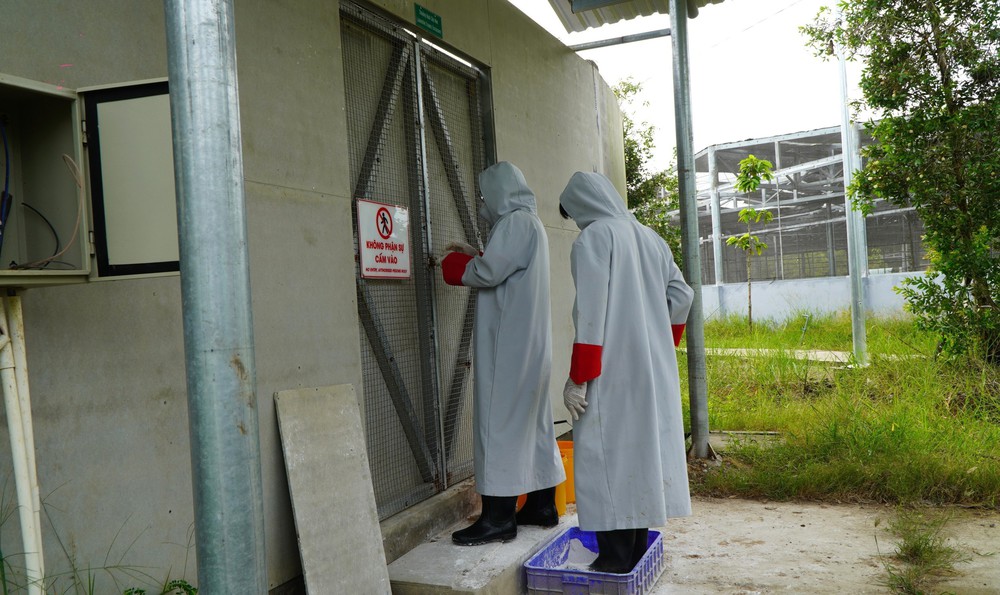 Sếu đầu đỏ thích nghi với môi trường khu bảo tồn của Vườn quốc gia Tràm Chim (Đồng Tháp) - Ảnh 2.