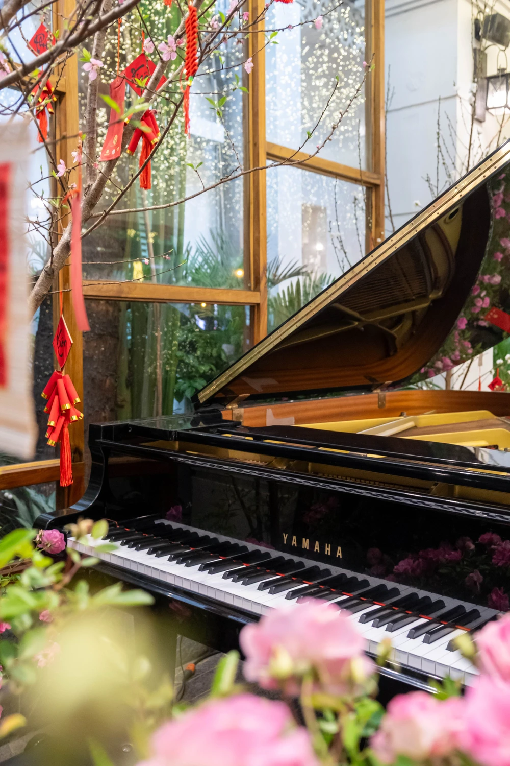 Khu vườn mùa Xuân giữa phố phường Hà Nội - Ảnh 14.