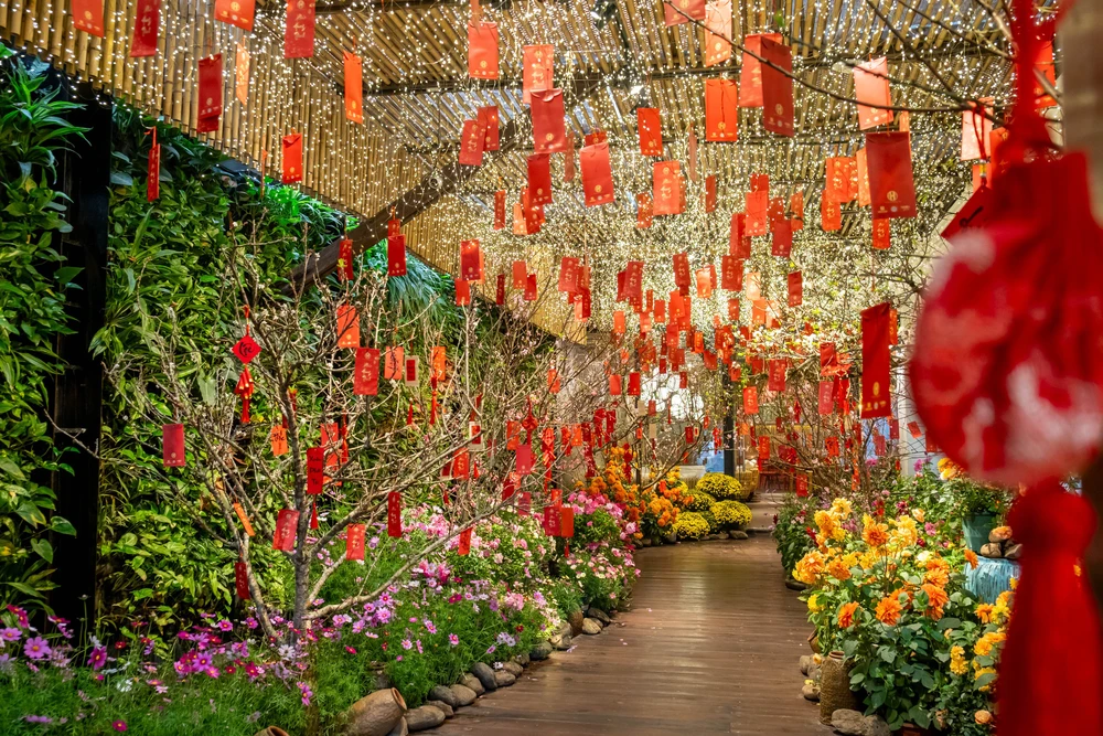 Khu vườn mùa Xuân giữa phố phường Hà Nội - Ảnh 1.