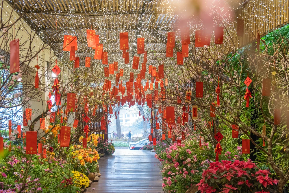 Khu vườn mùa Xuân giữa phố phường Hà Nội - Ảnh 2.