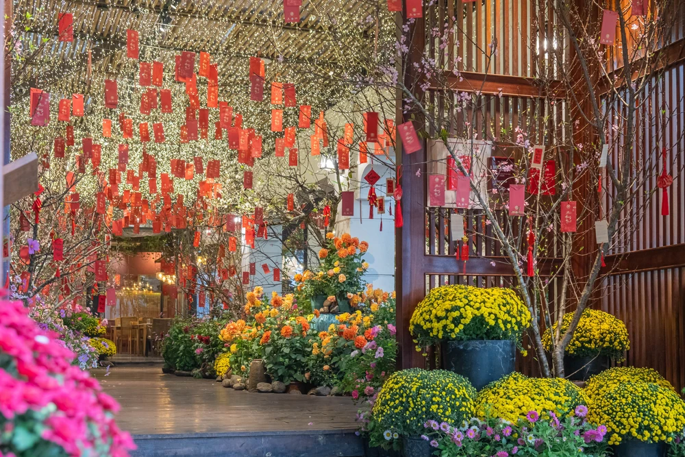 Khu vườn mùa Xuân giữa phố phường Hà Nội - Ảnh 3.