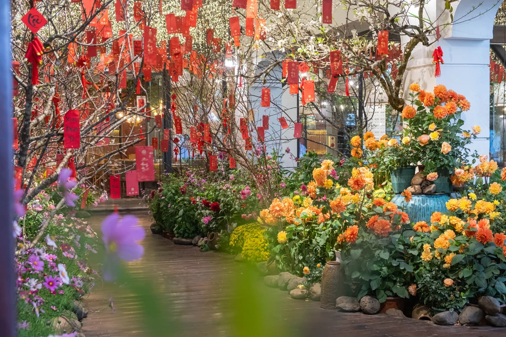 Khu vườn mùa Xuân giữa phố phường Hà Nội - Ảnh 4.