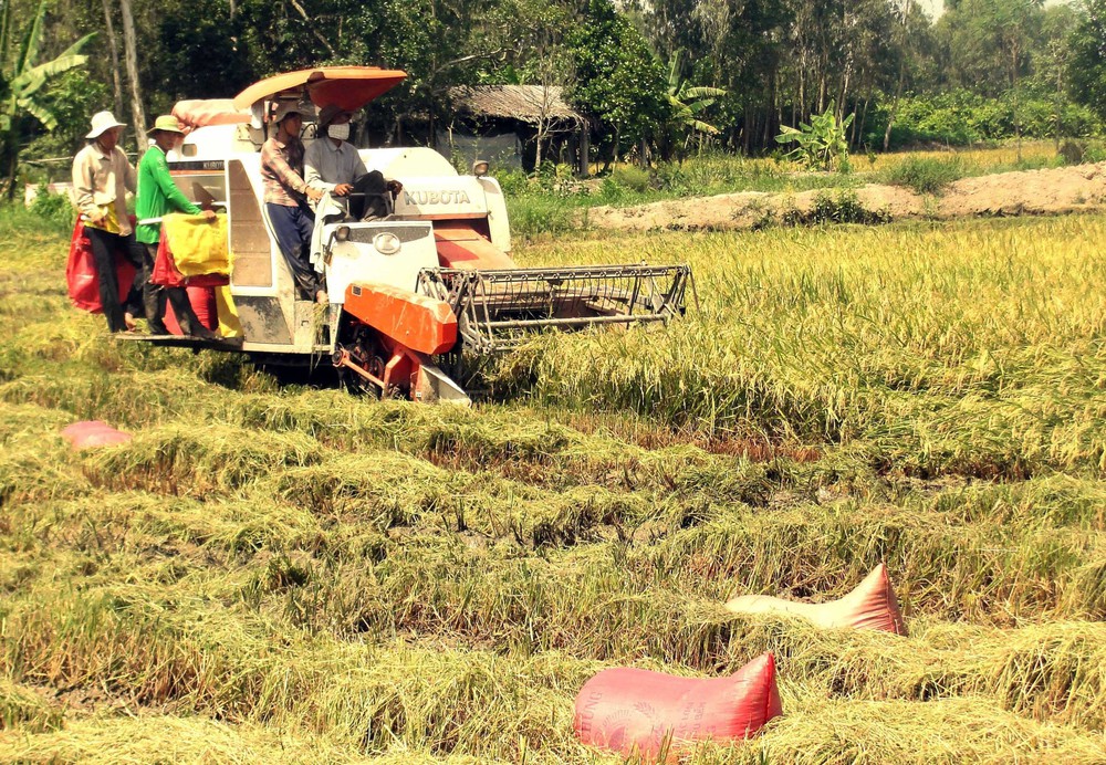 Đại hội XIV của Đảng: Phát huy vai trò, khơi dậy sức sáng tạo của giai cấp nông dân - Ảnh 3.