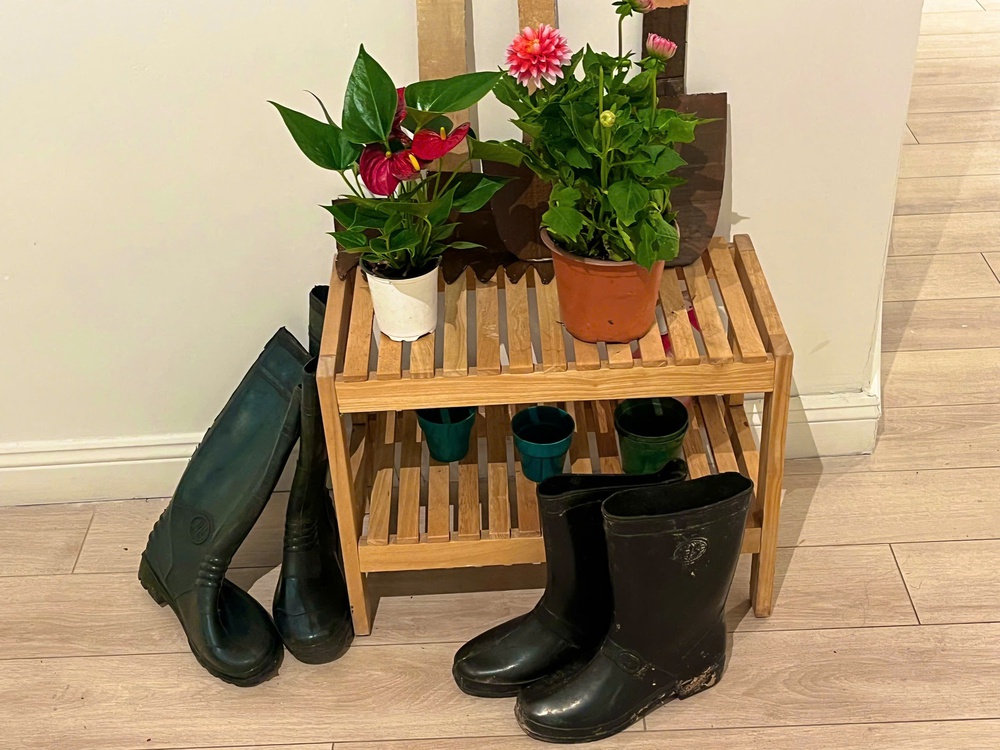 Gọi Xuân về trên từng trang sách tranh - Ảnh 14.