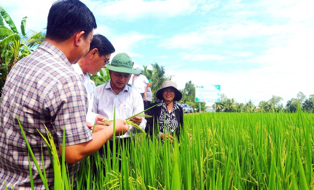 Đưa Nghị quyết thành hành động: Nguồn nhân lực là trung tâm của xây dựng, phát triển đất nước - Ảnh 2.