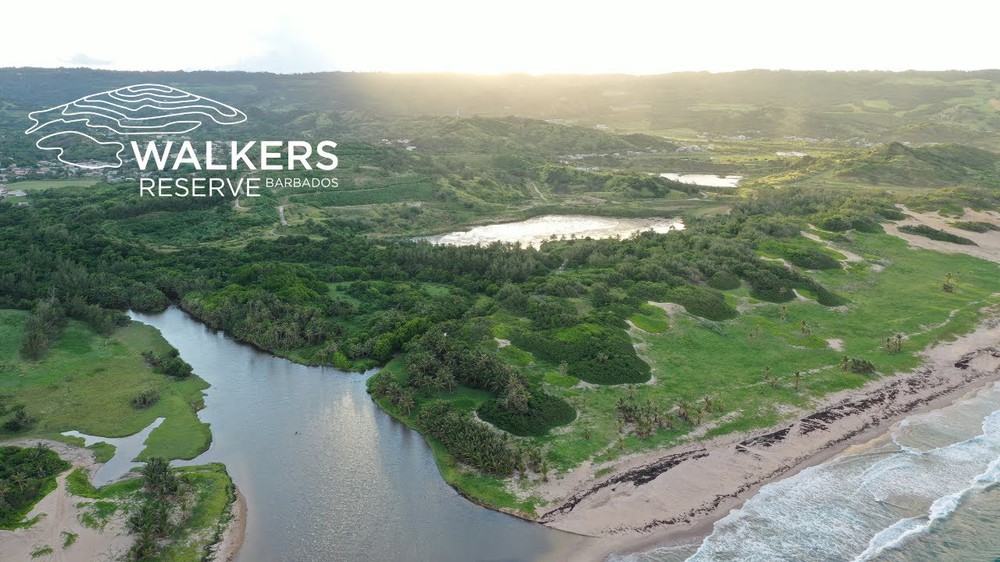 Tái tạo: Xu hướng du lịch mới hướng đến việc khôi phục thiên nhiên - Ảnh 1.