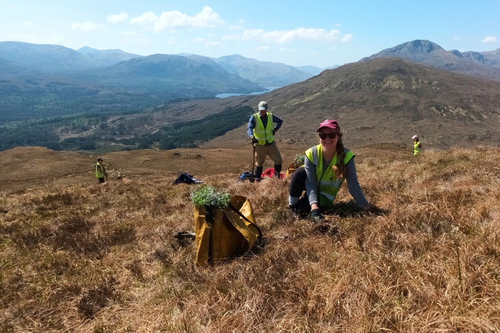 Tái tạo: Xu hướng du lịch mới hướng đến việc khôi phục thiên nhiên - Ảnh 3.