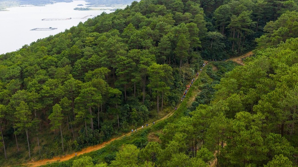 Chân dung nhà vô địch Prenn Trail Summit 2025 ở cự ly dài nhất Việt Nam - Ảnh 2.