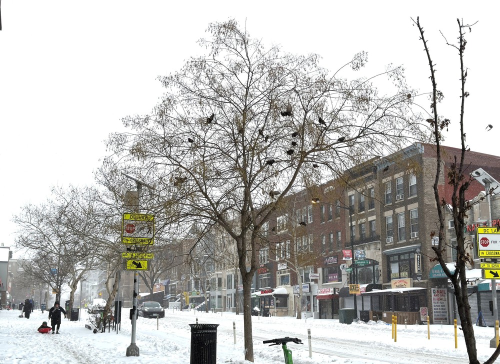  Bão mùa Đông khắc nghiệt càn quyét nước Mỹ - Ảnh 9.