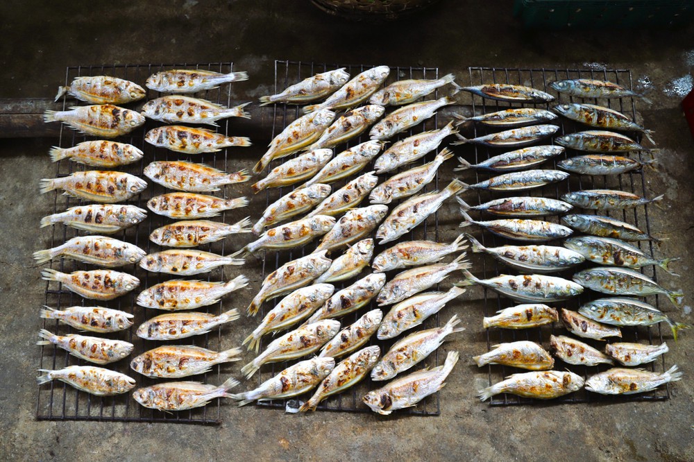 Làng nướng cá biển truyền thống ở Diễn Châu "đỏ lửa" dịp cận Tết - Ảnh 2.